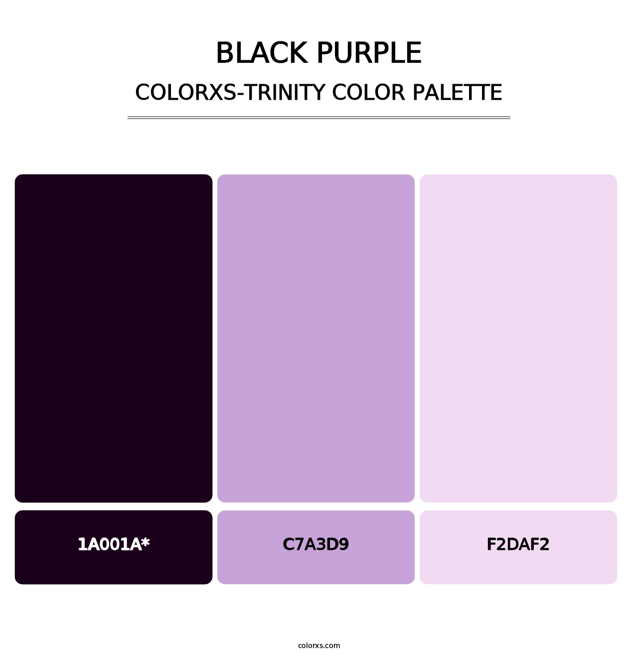 Black Purple - Colorxs Trinity Palette