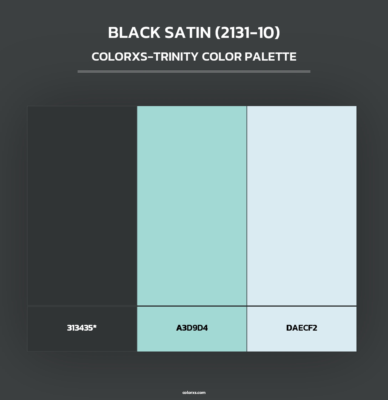 Black Satin (2131-10) - Colorxs Trinity Palette