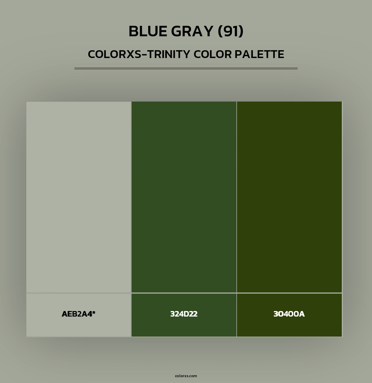 Blue Gray (91) - Colorxs Trinity Palette