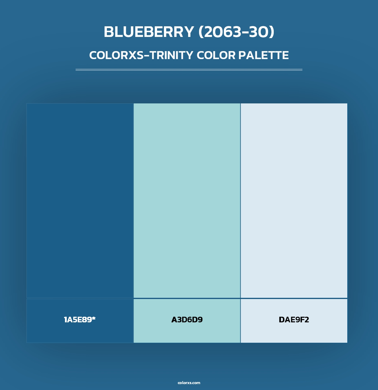 Blueberry (2063-30) - Colorxs Trinity Palette