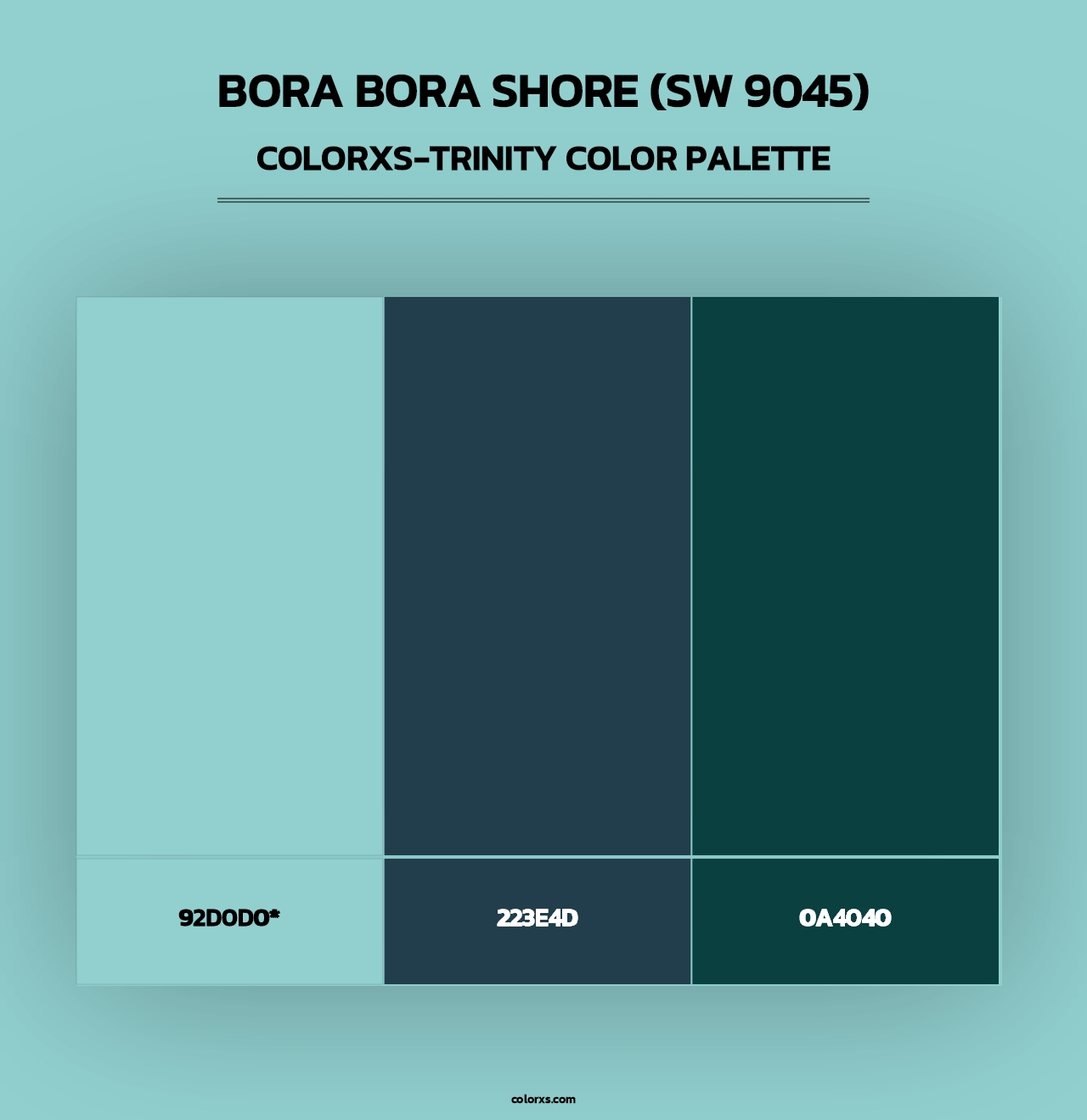 Bora Bora Shore (SW 9045) - Colorxs Trinity Palette