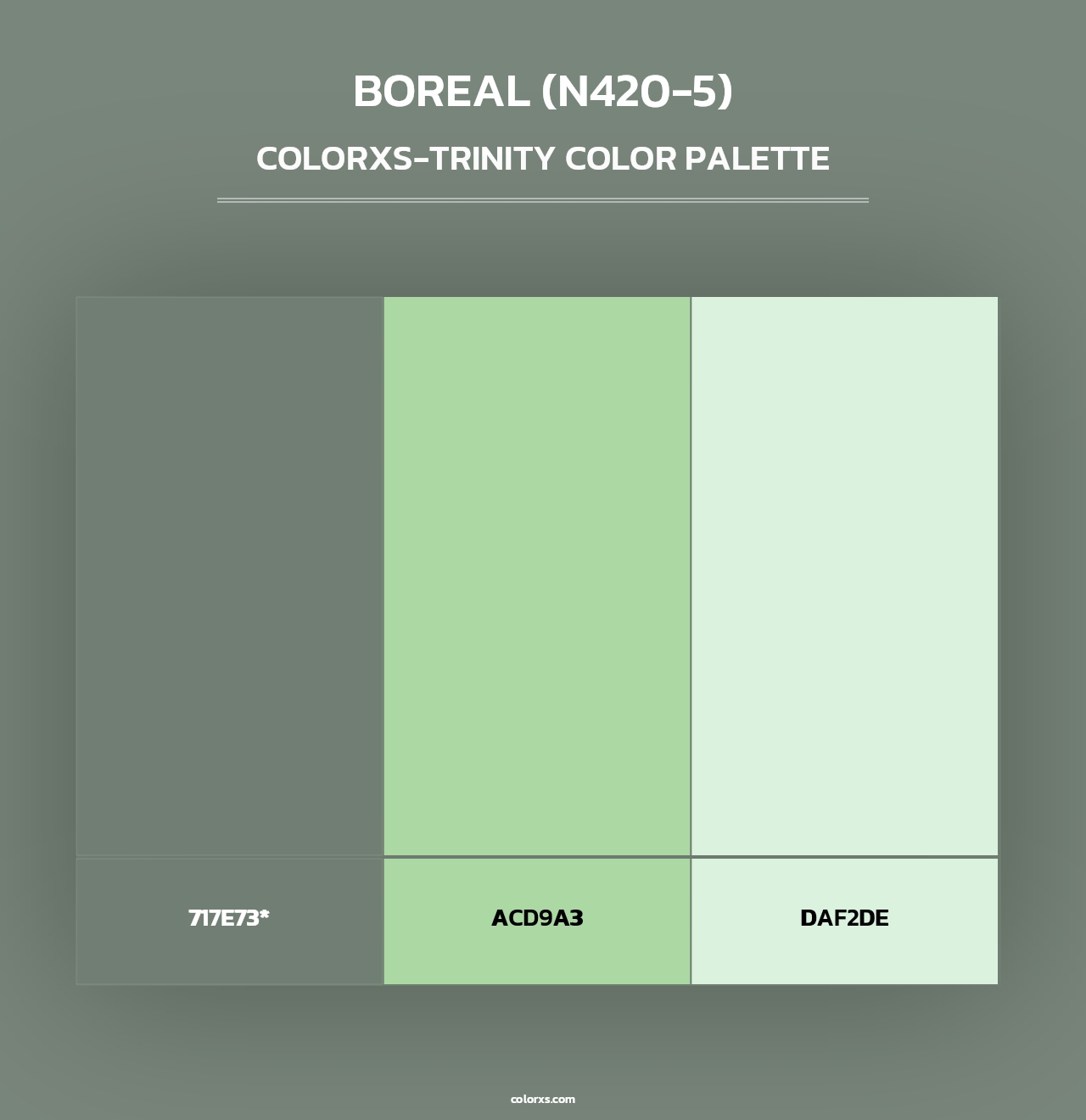 Boreal (N420-5) - Colorxs Trinity Palette