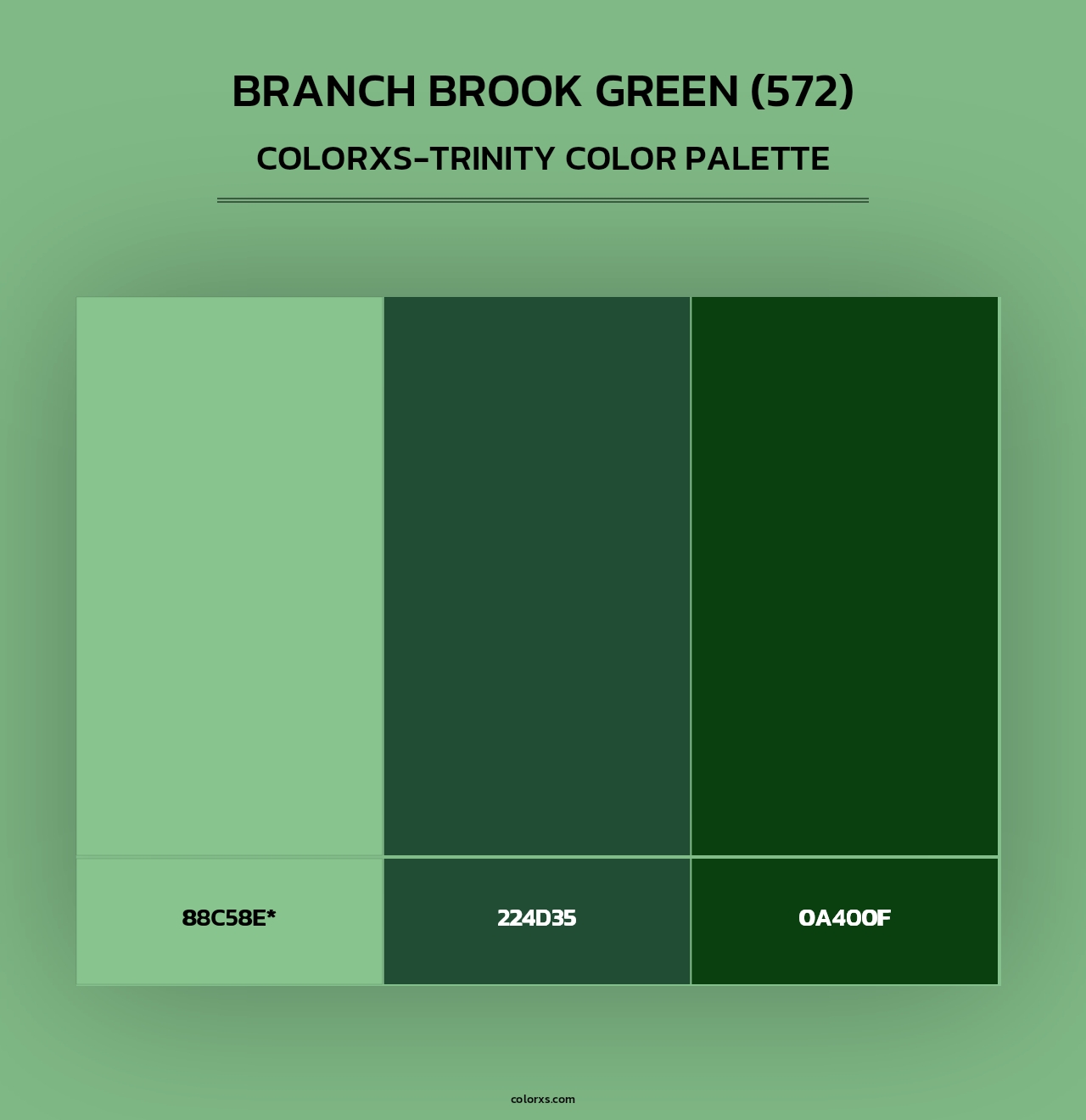Branch Brook Green (572) - Colorxs Trinity Palette