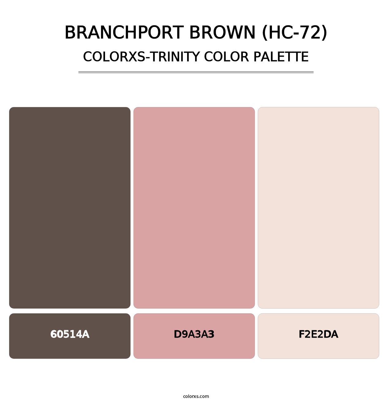 Branchport Brown (HC-72) - Colorxs Trinity Palette