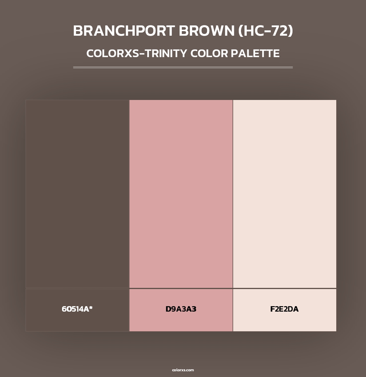 Branchport Brown (HC-72) - Colorxs Trinity Palette