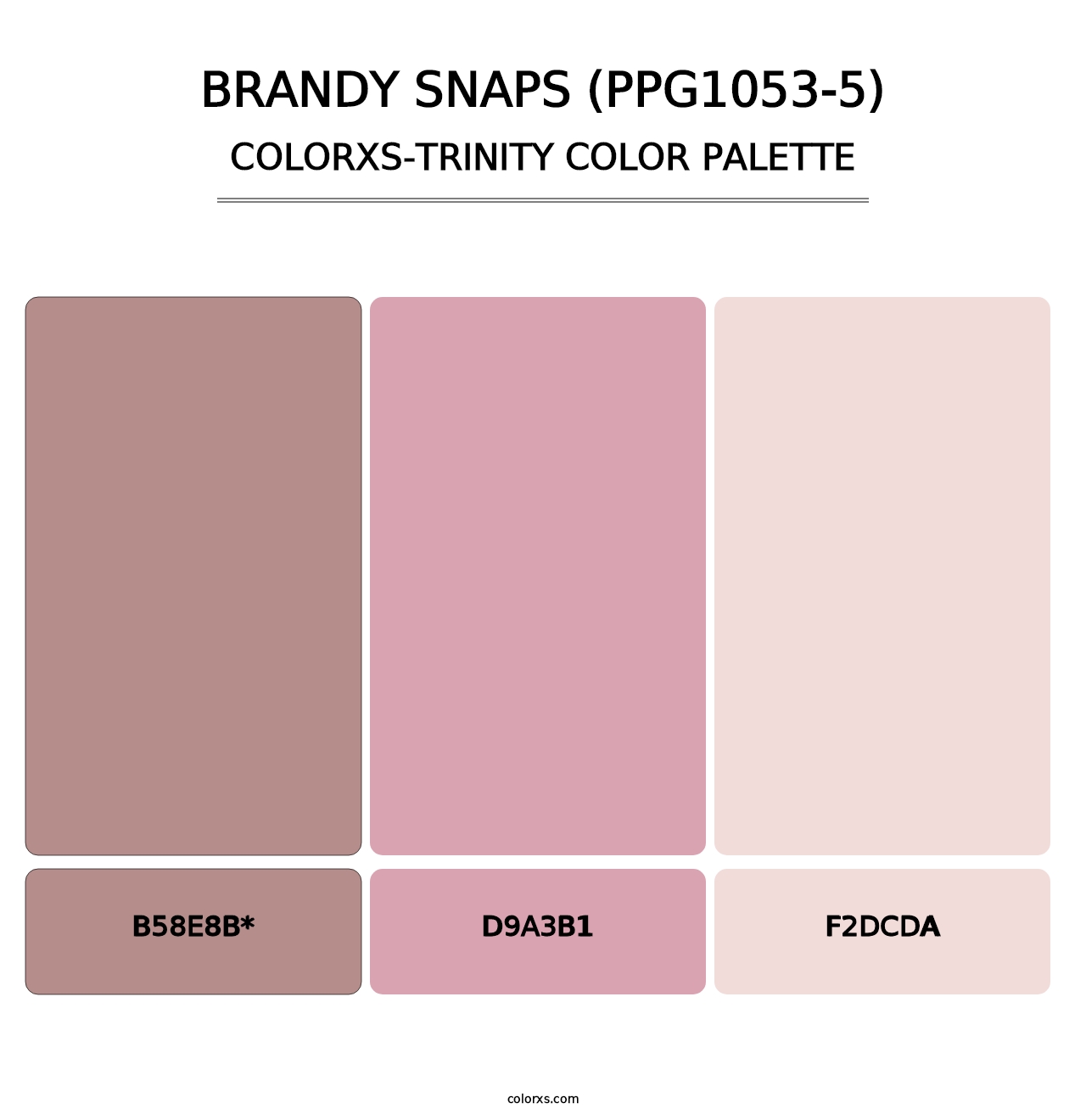 Brandy Snaps (PPG1053-5) - Colorxs Trinity Palette