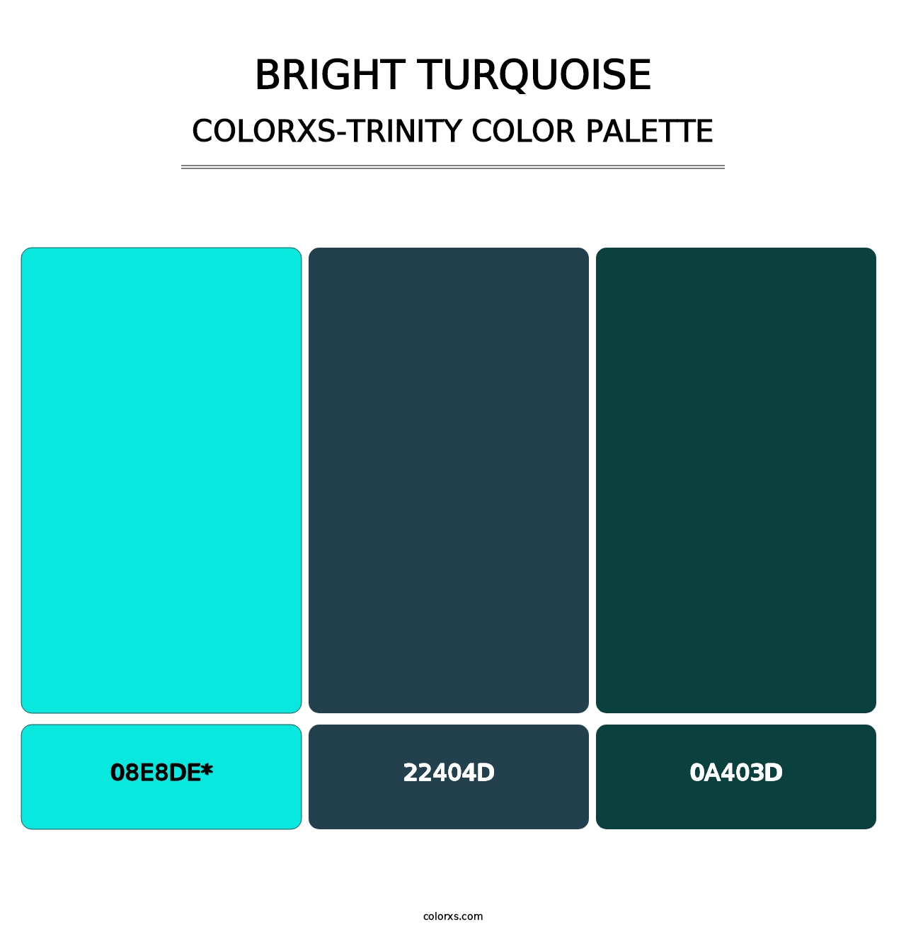 Bright Turquoise - Colorxs Trinity Palette