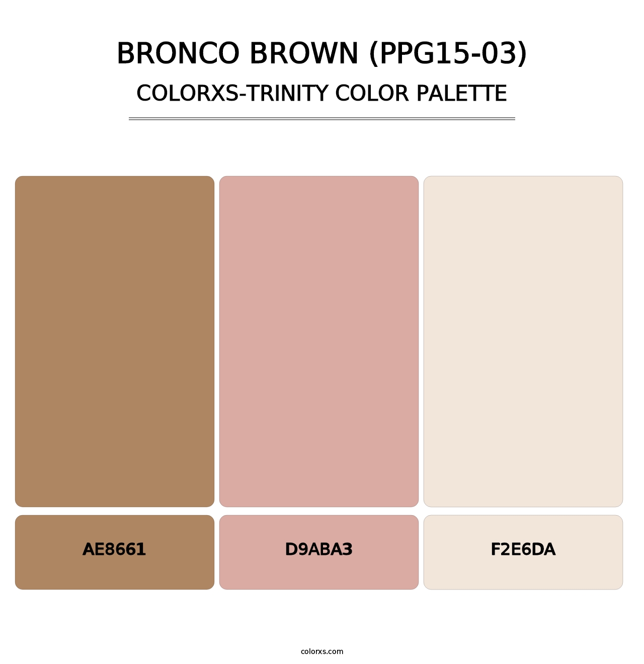 Bronco Brown (PPG15-03) - Colorxs Trinity Palette