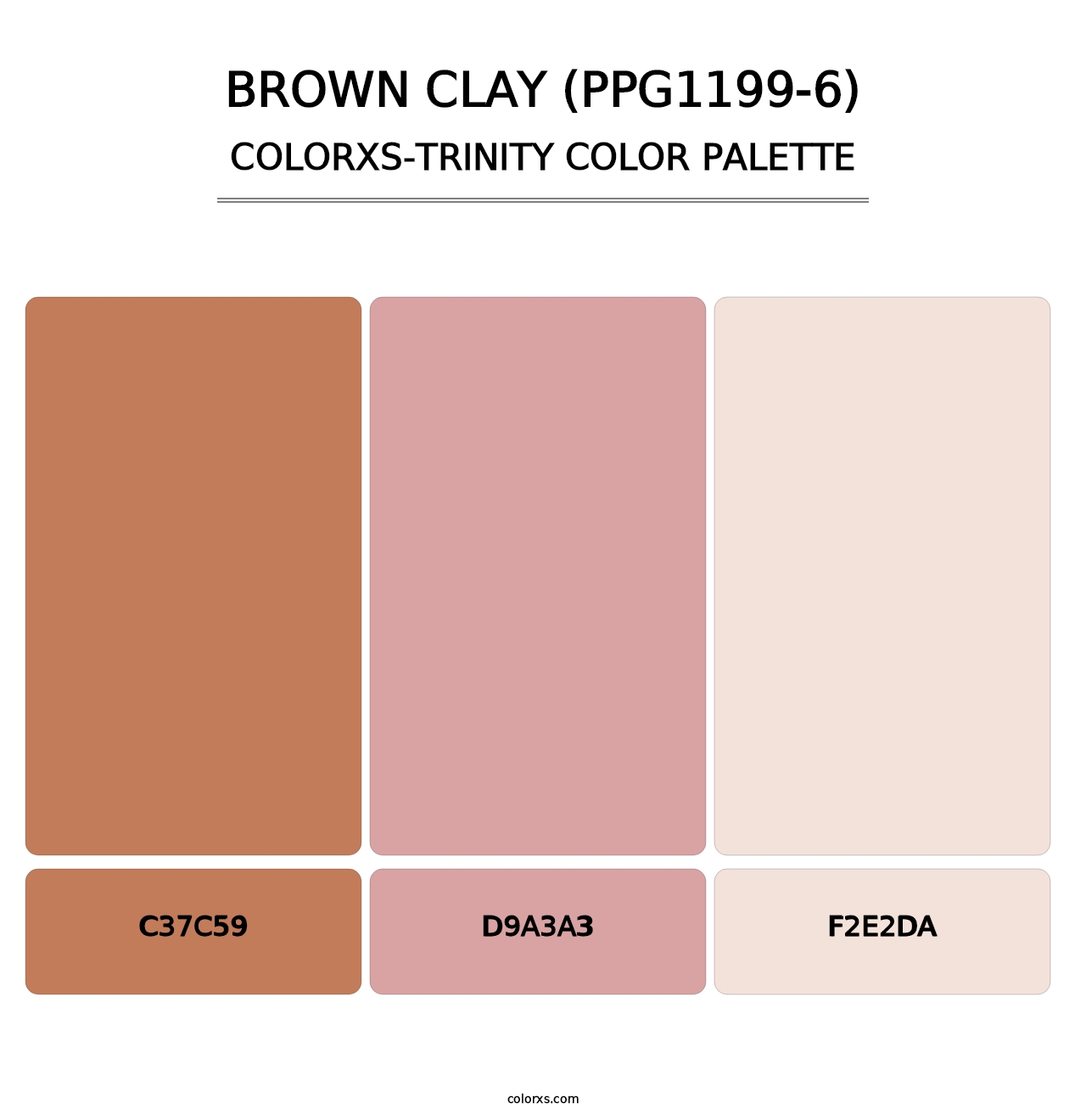 Brown Clay (PPG1199-6) - Colorxs Trinity Palette