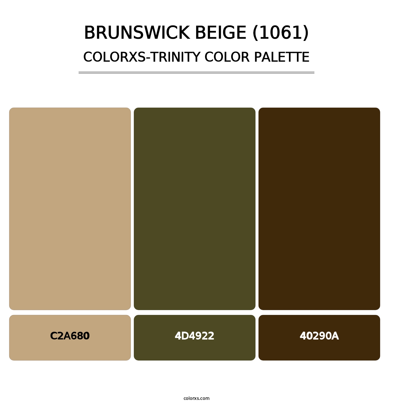 Brunswick Beige (1061) - Colorxs Trinity Palette