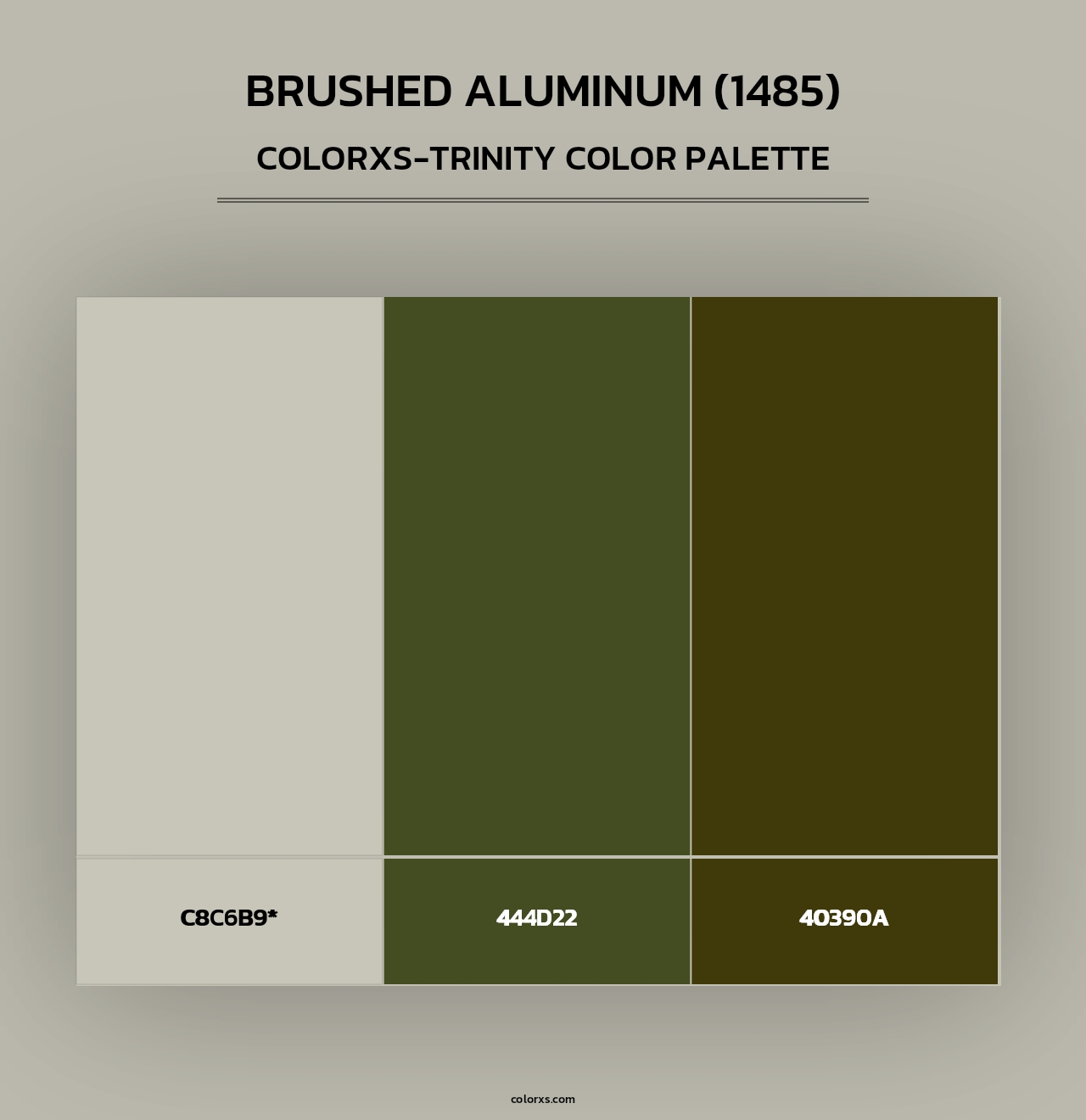 Brushed Aluminum (1485) - Colorxs Trinity Palette