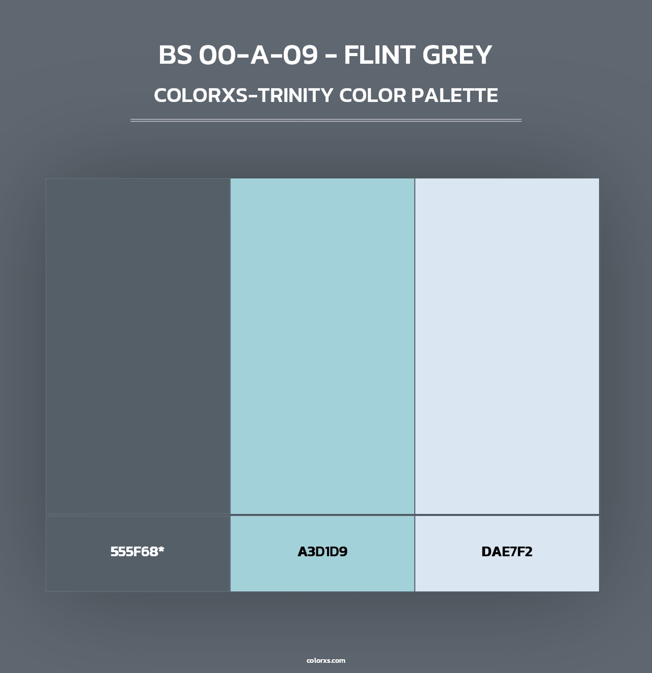 BS 00-A-09 - Flint Grey - Colorxs Trinity Palette