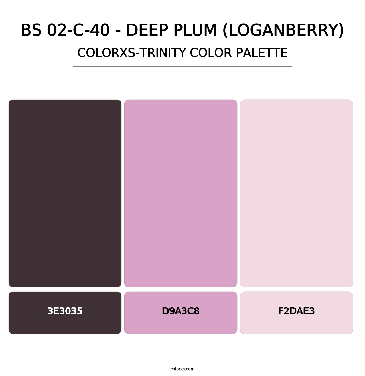 BS 02-C-40 - Deep Plum (Loganberry) - Colorxs Trinity Palette