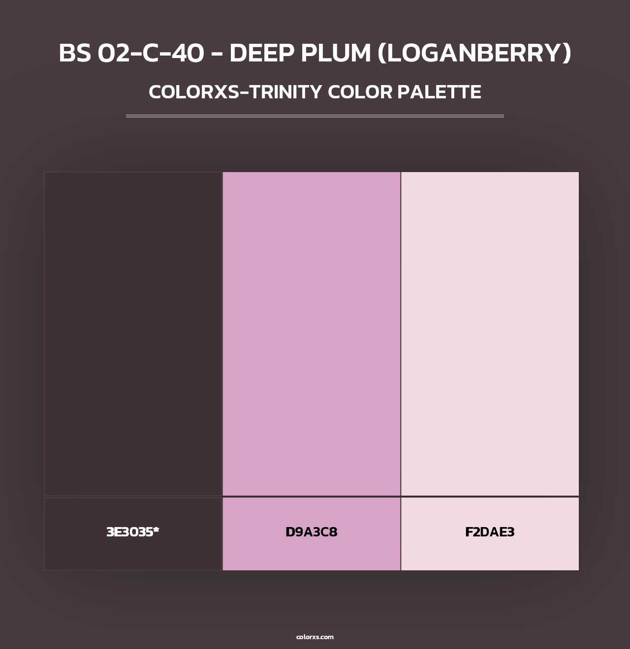 BS 02-C-40 - Deep Plum (Loganberry) - Colorxs Trinity Palette