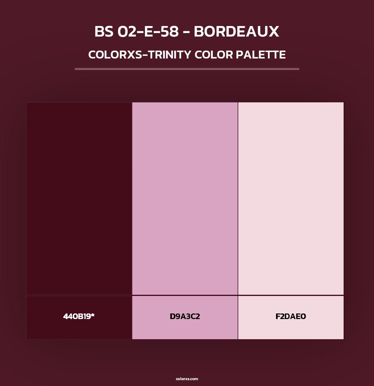 BS 02-E-58 - Bordeaux - Colorxs Trinity Palette