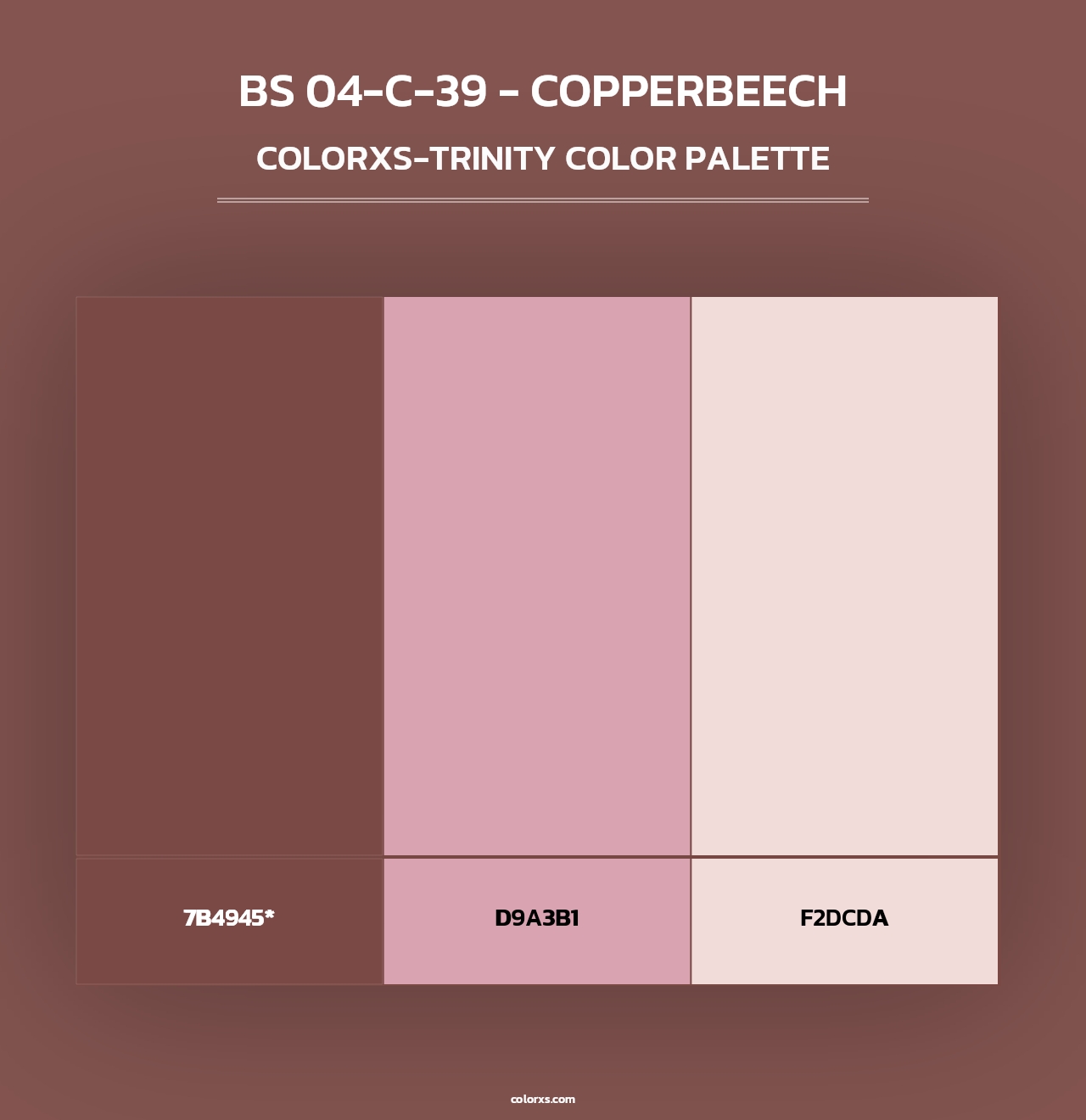 BS 04-C-39 - Copperbeech - Colorxs Trinity Palette