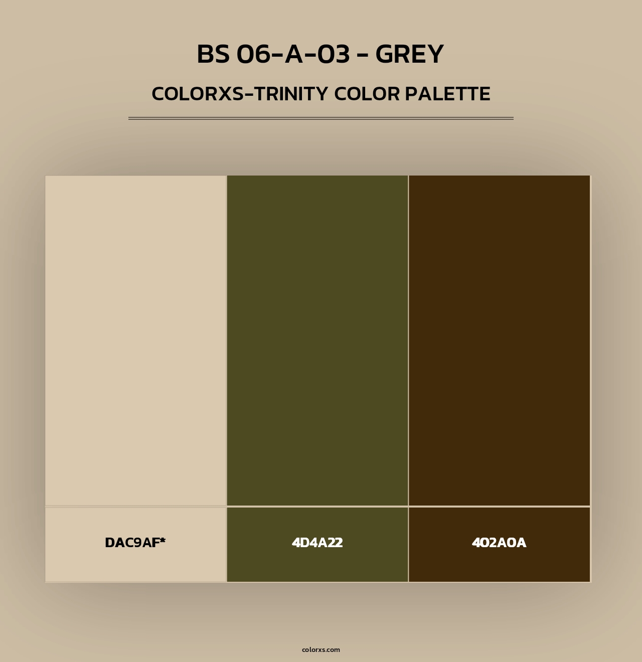 BS 06-A-03 - Grey - Colorxs Trinity Palette