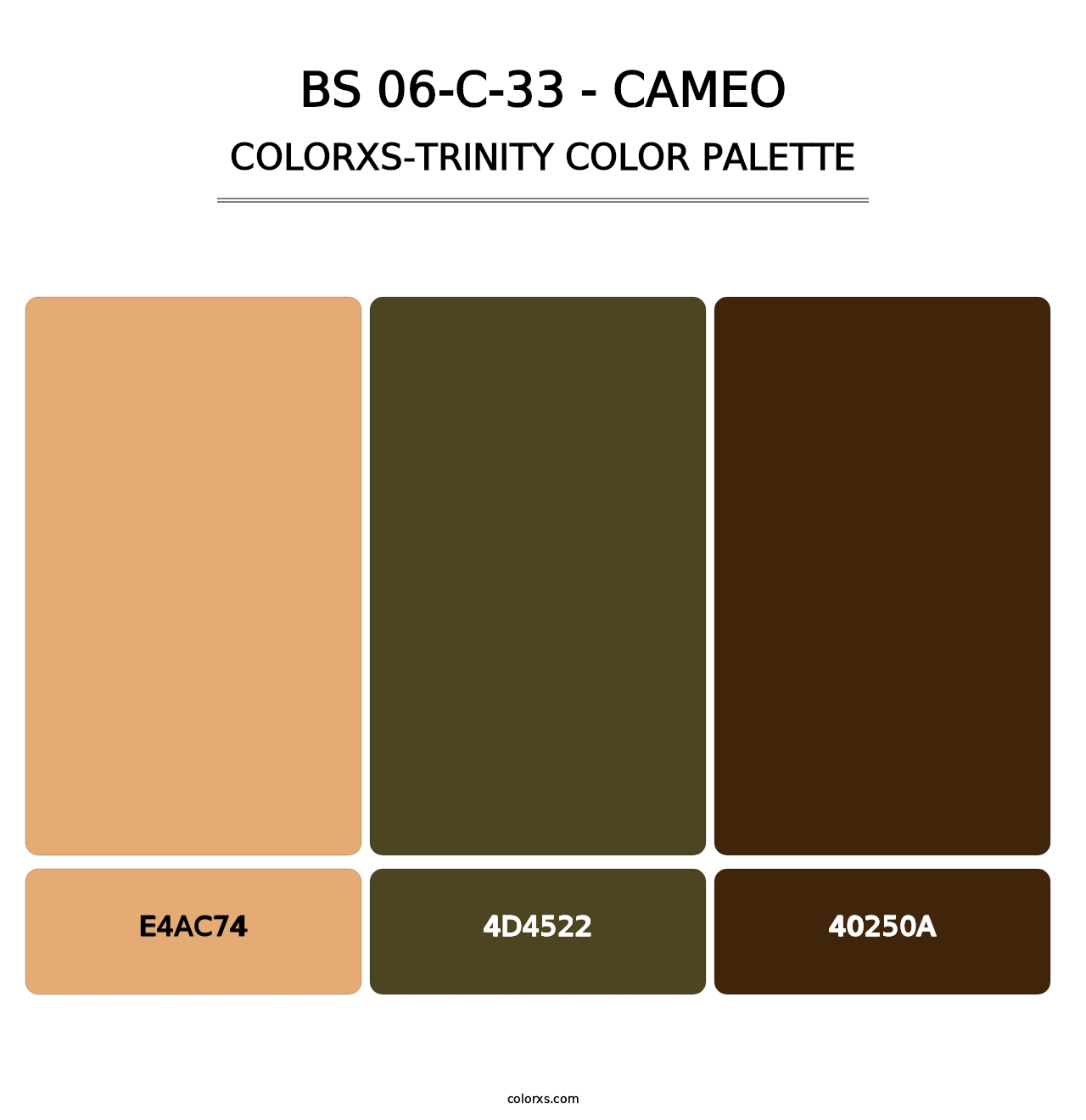 BS 06-C-33 - Cameo - Colorxs Trinity Palette