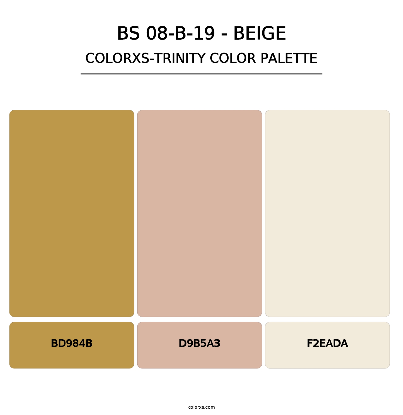 BS 08-B-19 - Beige - Colorxs Trinity Palette