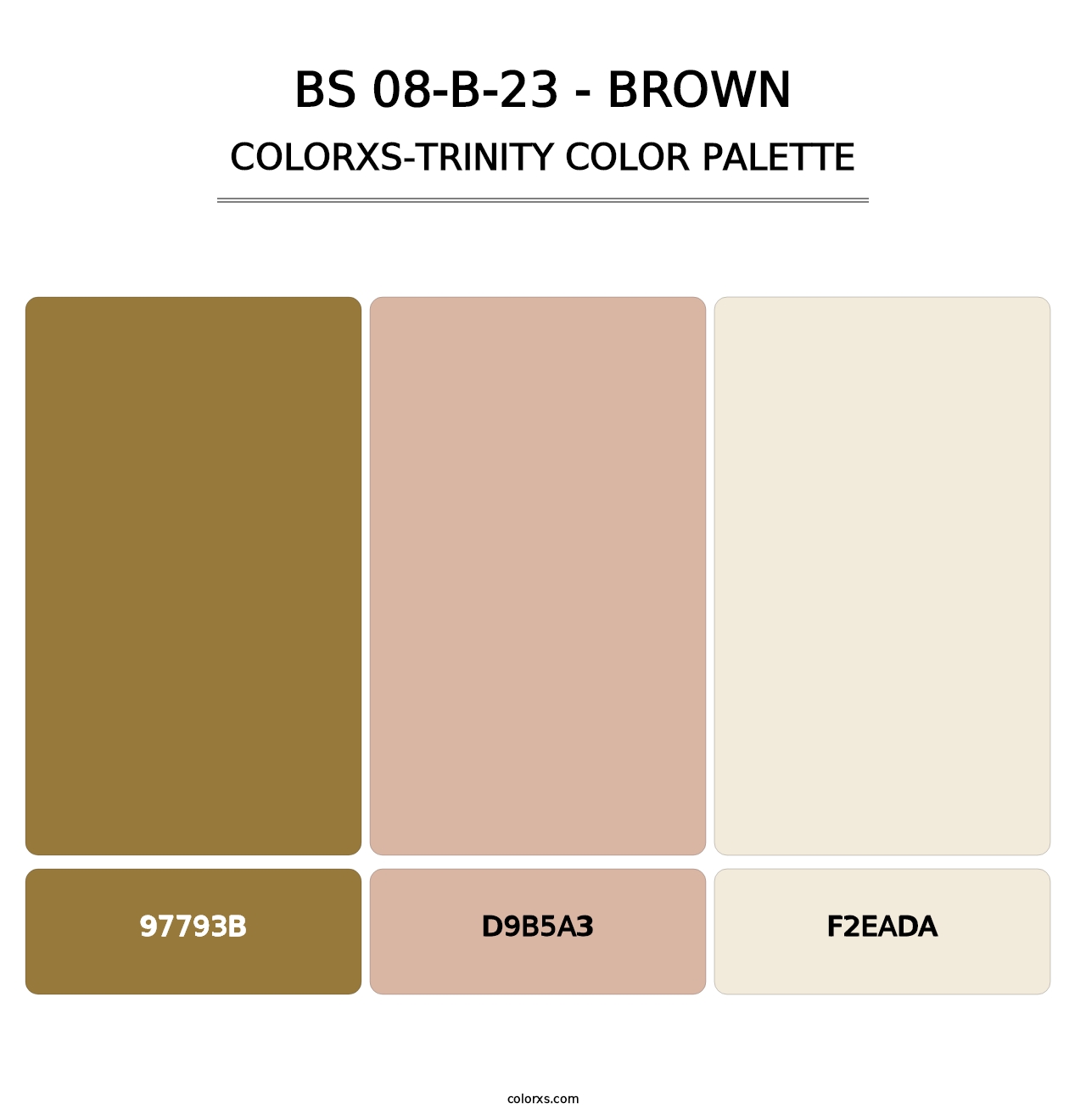 BS 08-B-23 - Brown - Colorxs Trinity Palette