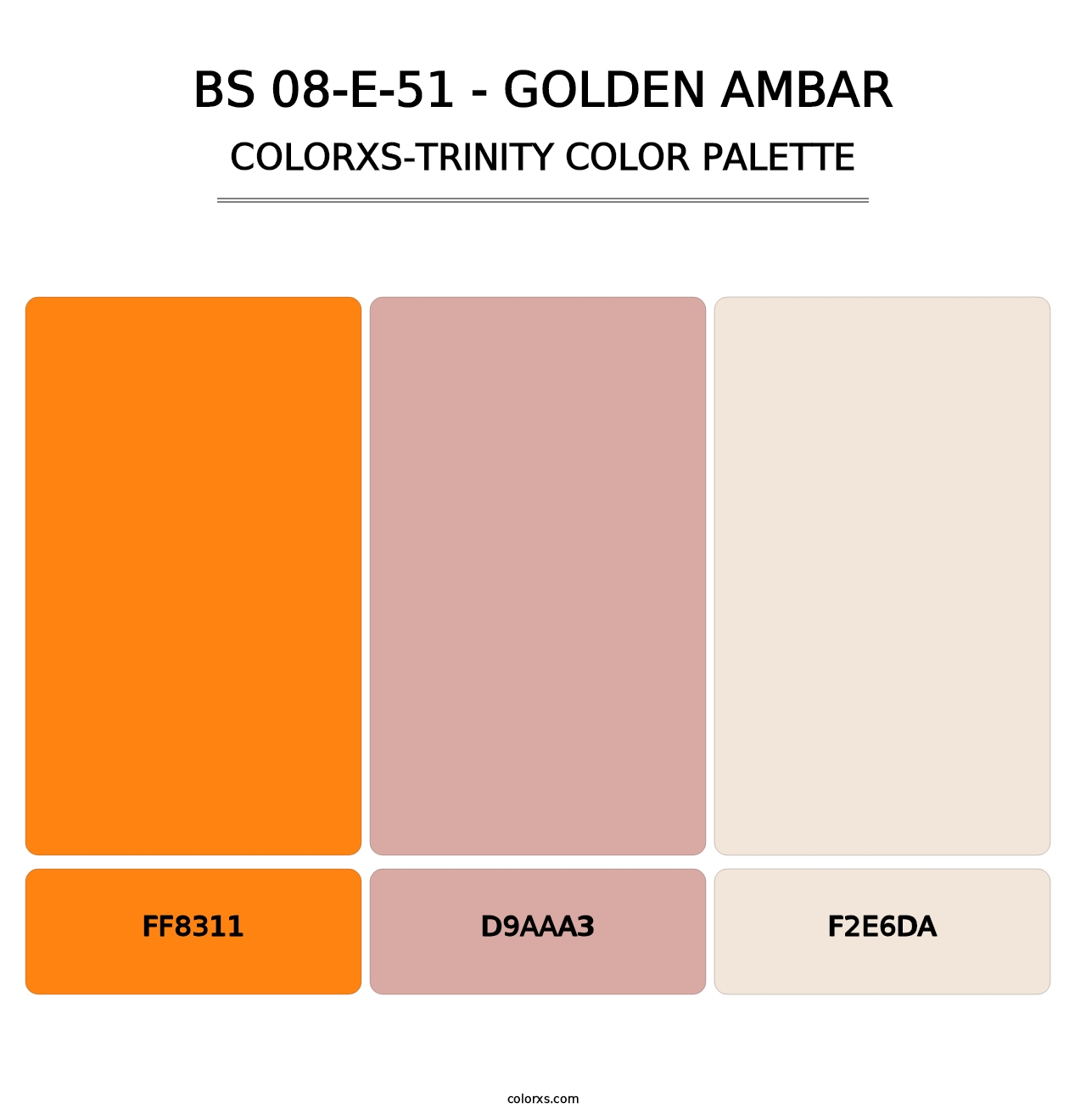 BS 08-E-51 - Golden Ambar - Colorxs Trinity Palette