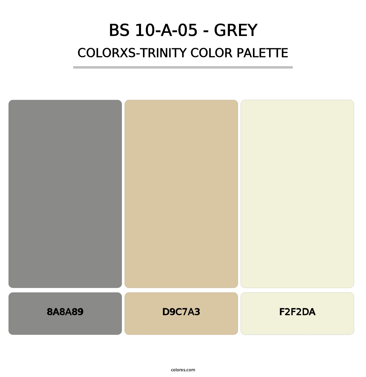 BS 10-A-05 - Grey - Colorxs Trinity Palette