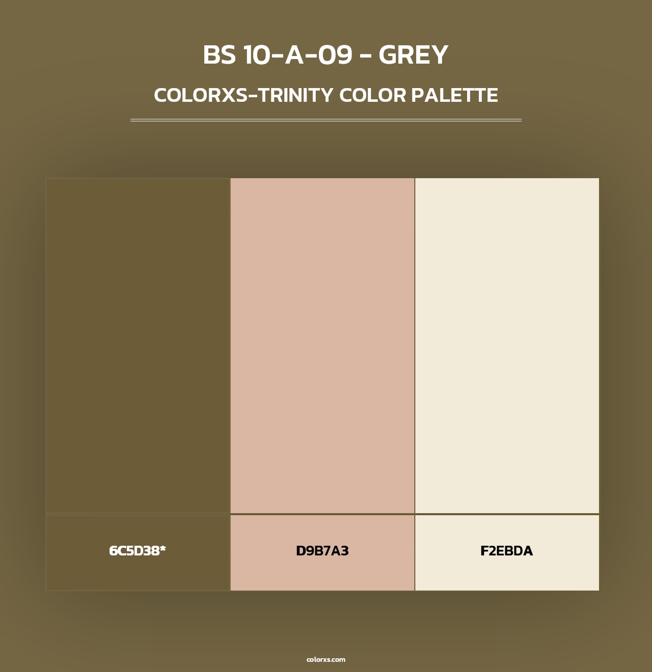 BS 10-A-09 - Grey - Colorxs Trinity Palette