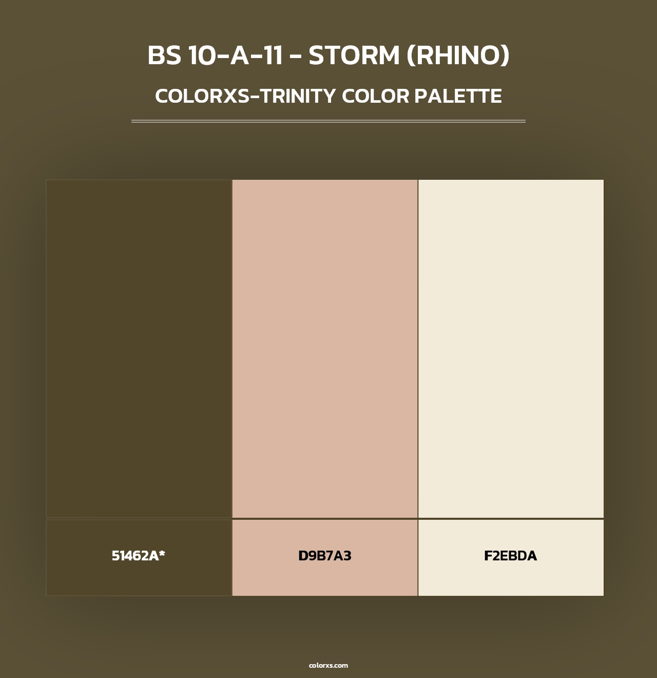 BS 10-A-11 - Storm (Rhino) - Colorxs Trinity Palette