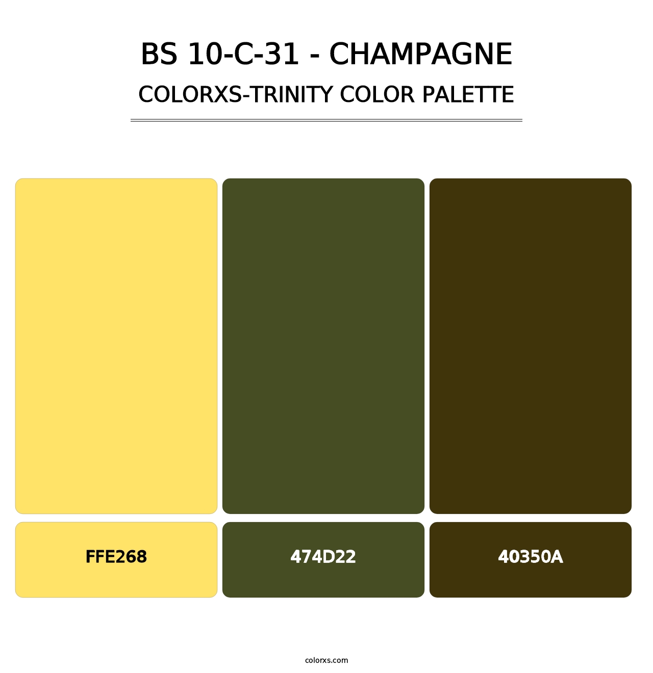 BS 10-C-31 - Champagne - Colorxs Trinity Palette