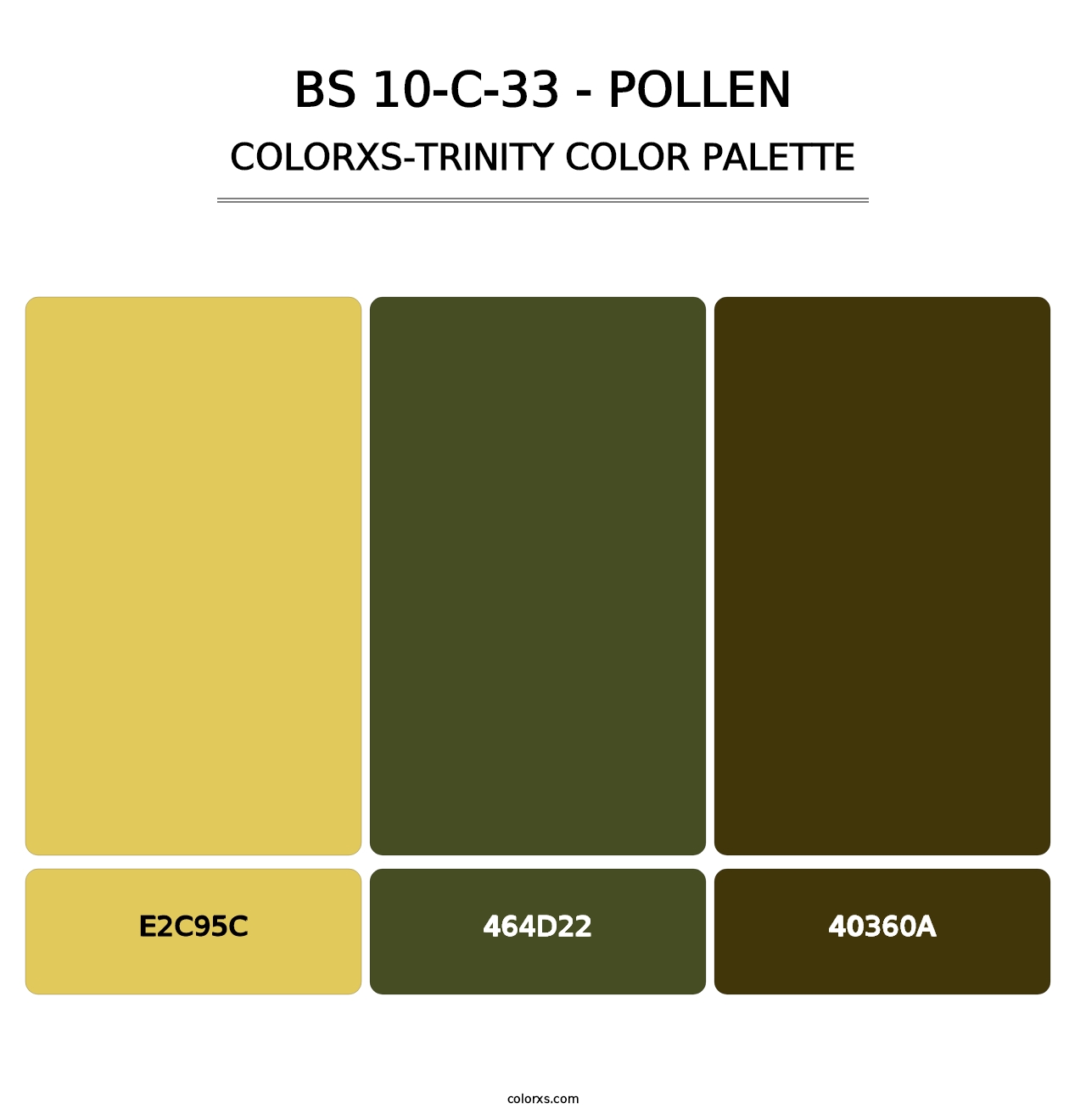 BS 10-C-33 - Pollen - Colorxs Trinity Palette