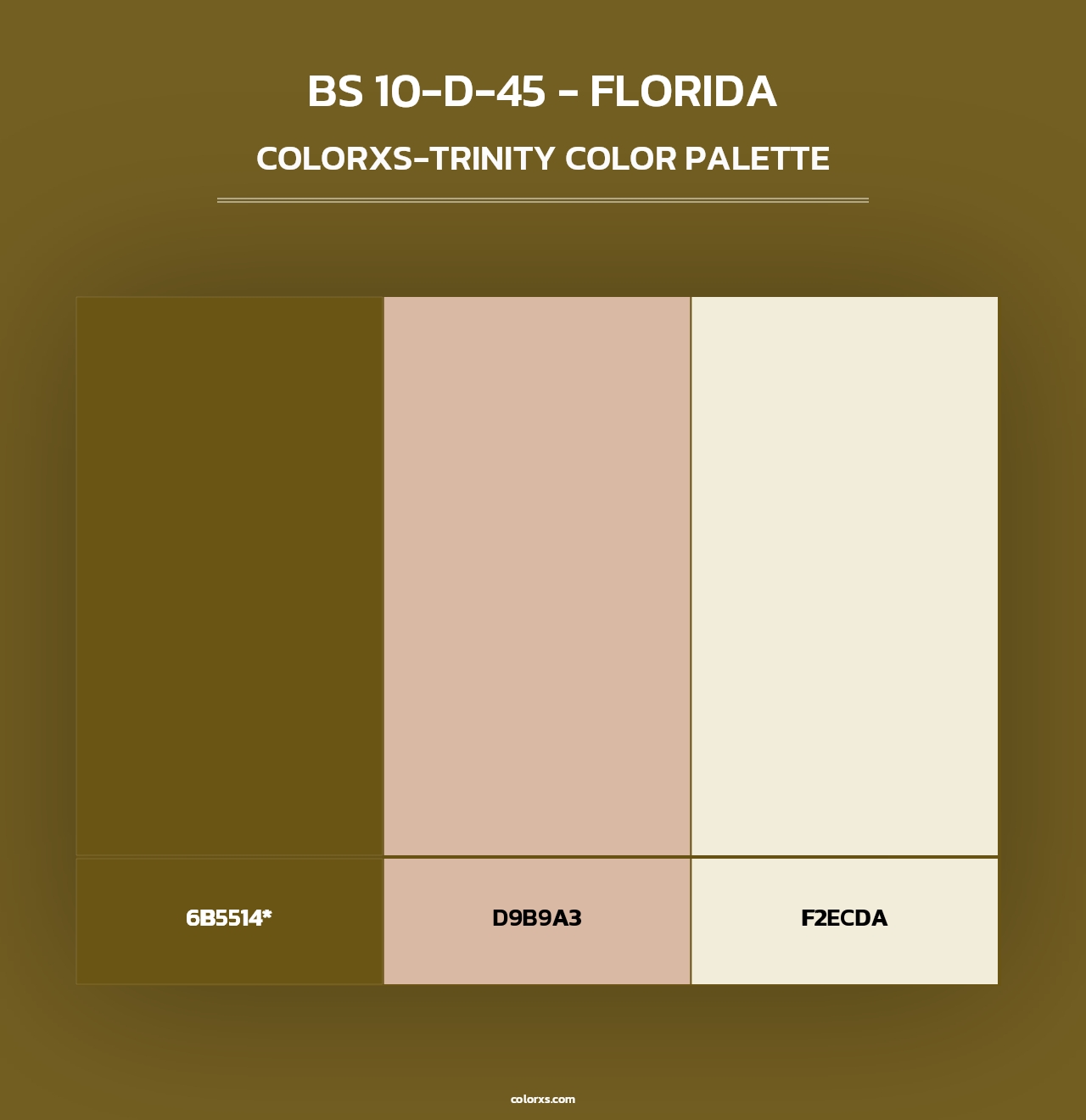 BS 10-D-45 - Florida - Colorxs Trinity Palette