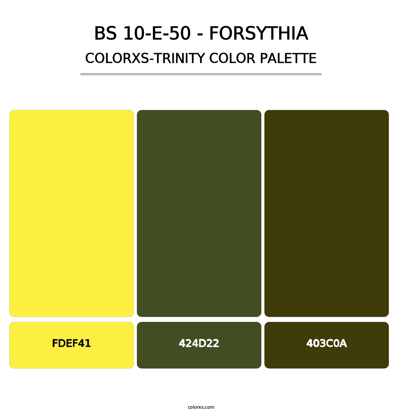 BS 10-E-50 - Forsythia - Colorxs Trinity Palette