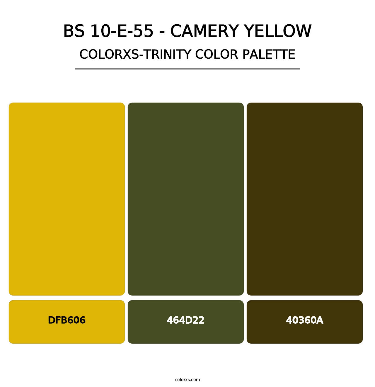 BS 10-E-55 - Camery Yellow - Colorxs Trinity Palette