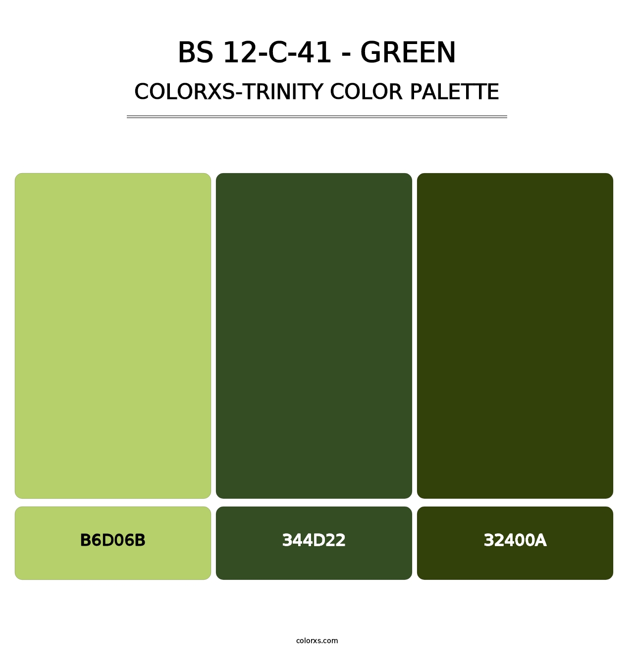 BS 12-C-41 - Green - Colorxs Trinity Palette