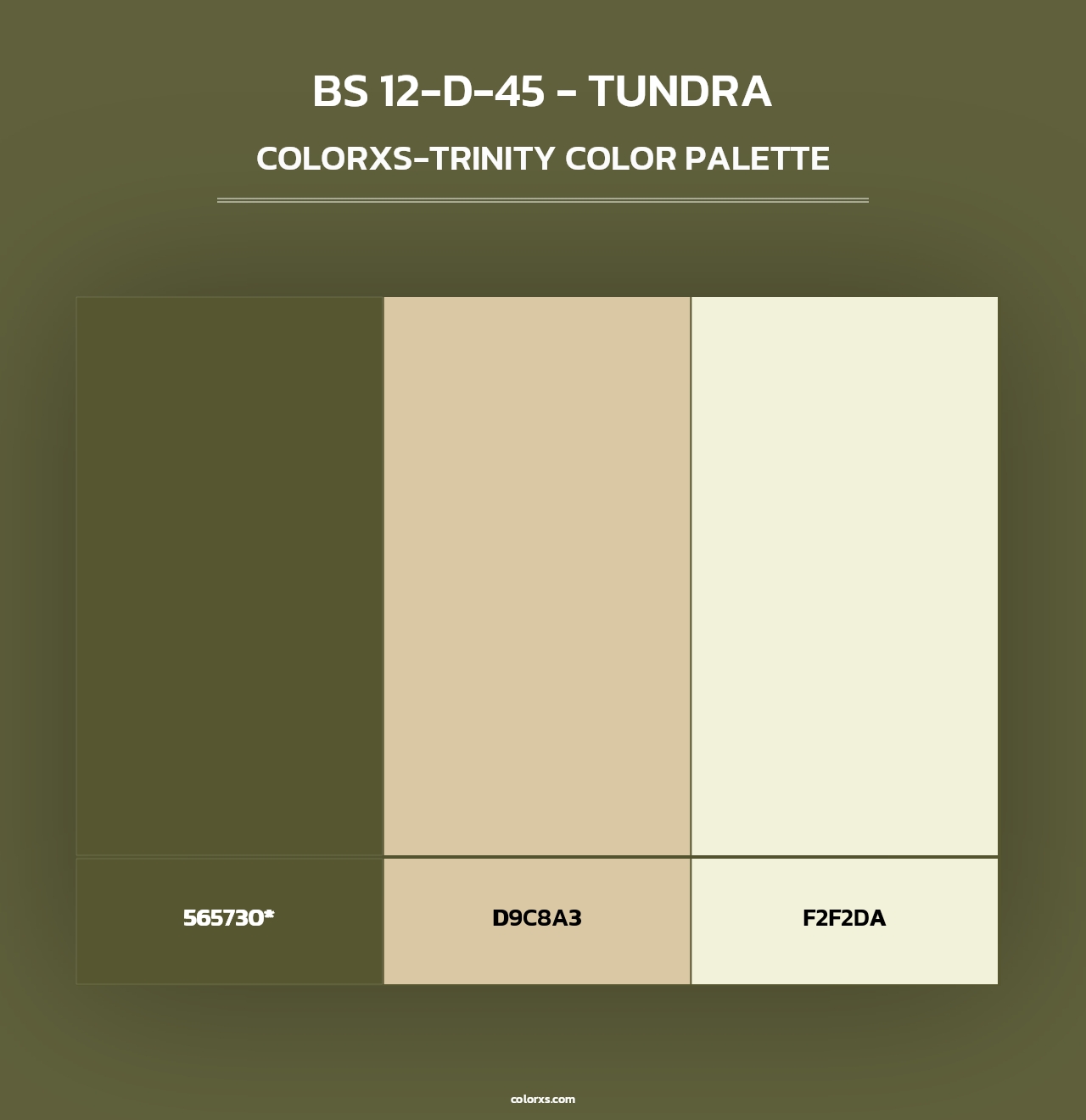 BS 12-D-45 - Tundra - Colorxs Trinity Palette