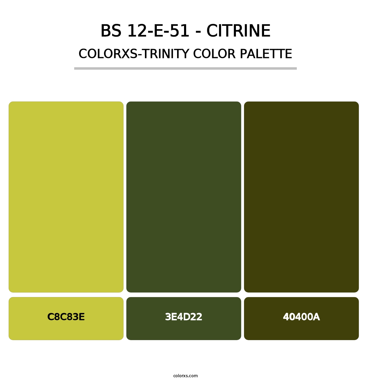 BS 12-E-51 - Citrine - Colorxs Trinity Palette