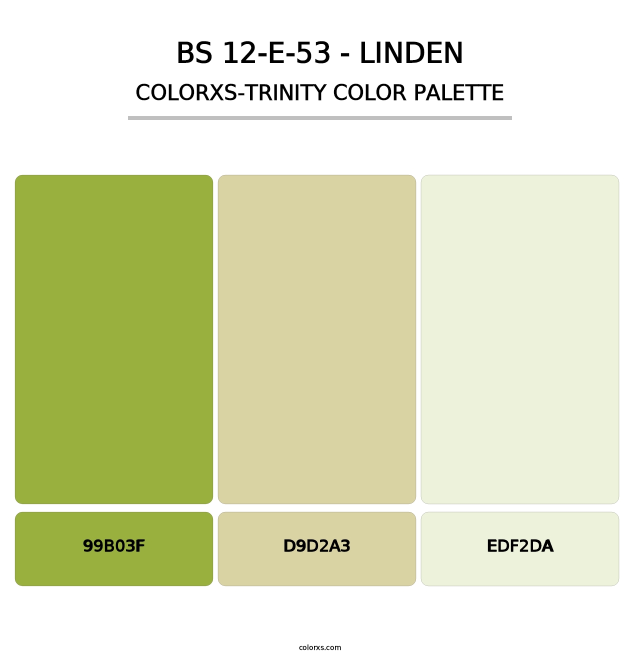 BS 12-E-53 - Linden - Colorxs Trinity Palette