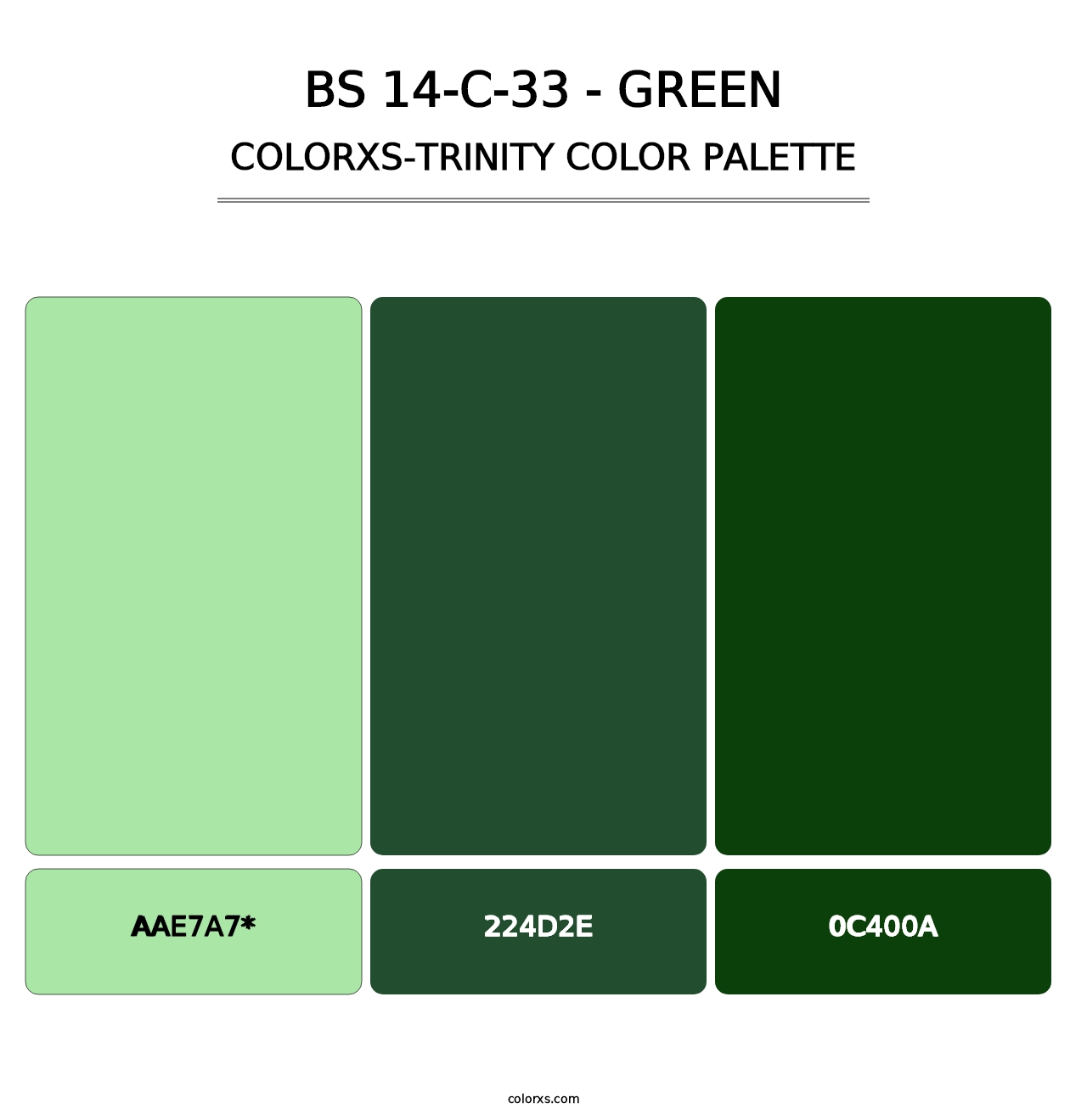 BS 14-C-33 - Green - Colorxs Trinity Palette
