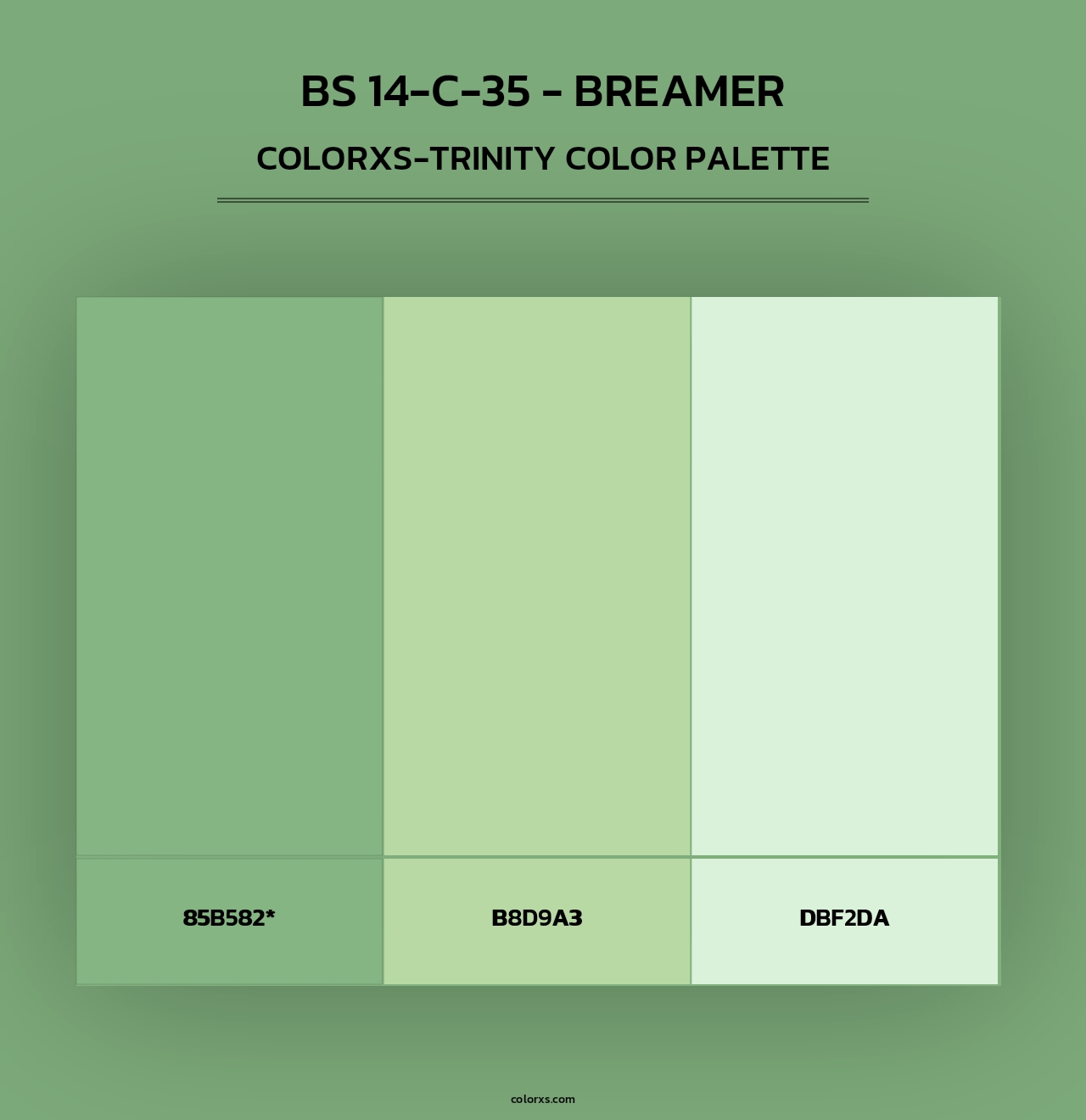 BS 14-C-35 - Breamer - Colorxs Trinity Palette