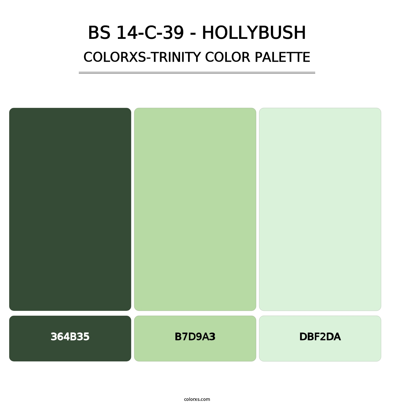 BS 14-C-39 - Hollybush - Colorxs Trinity Palette