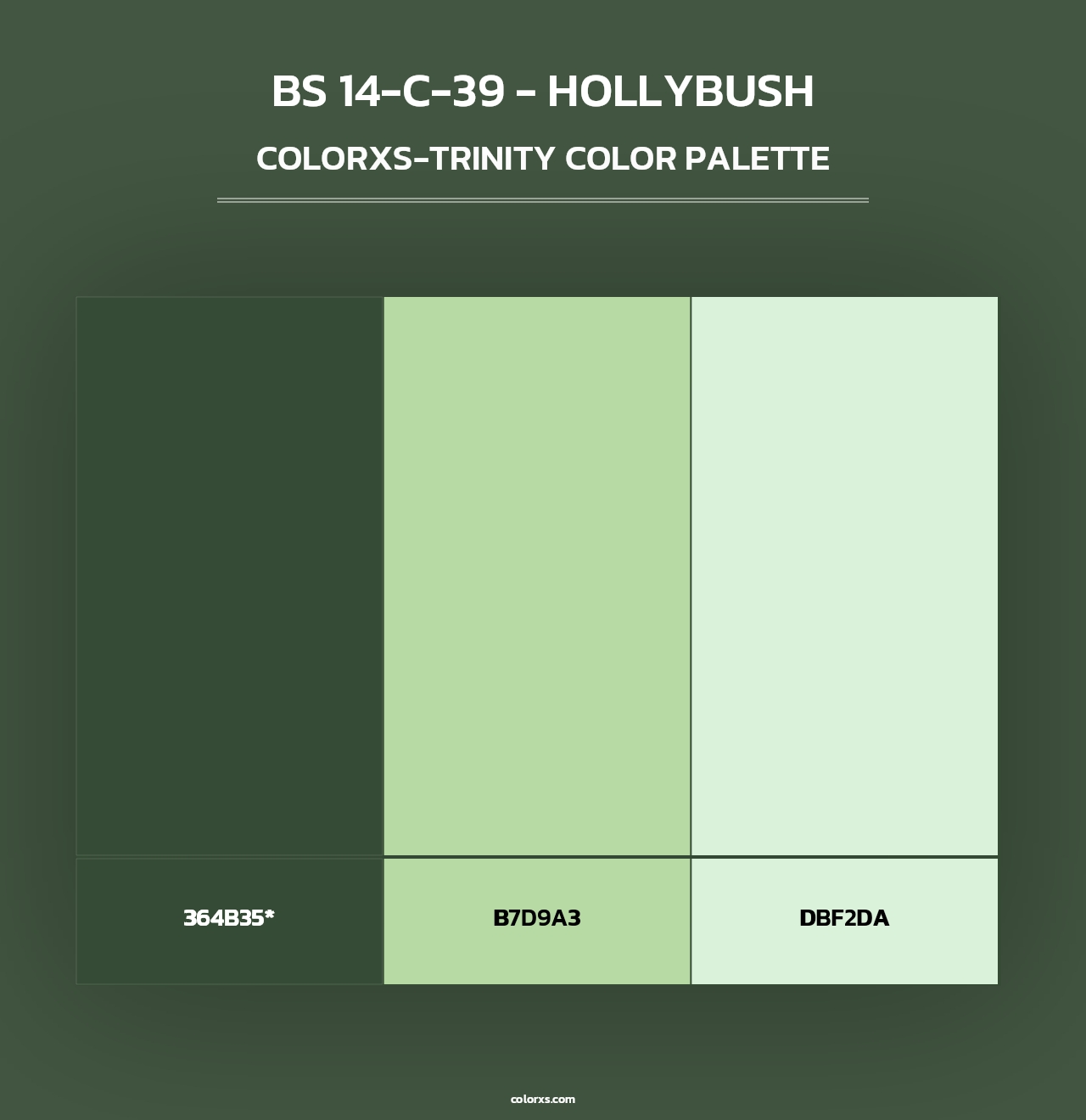 BS 14-C-39 - Hollybush - Colorxs Trinity Palette