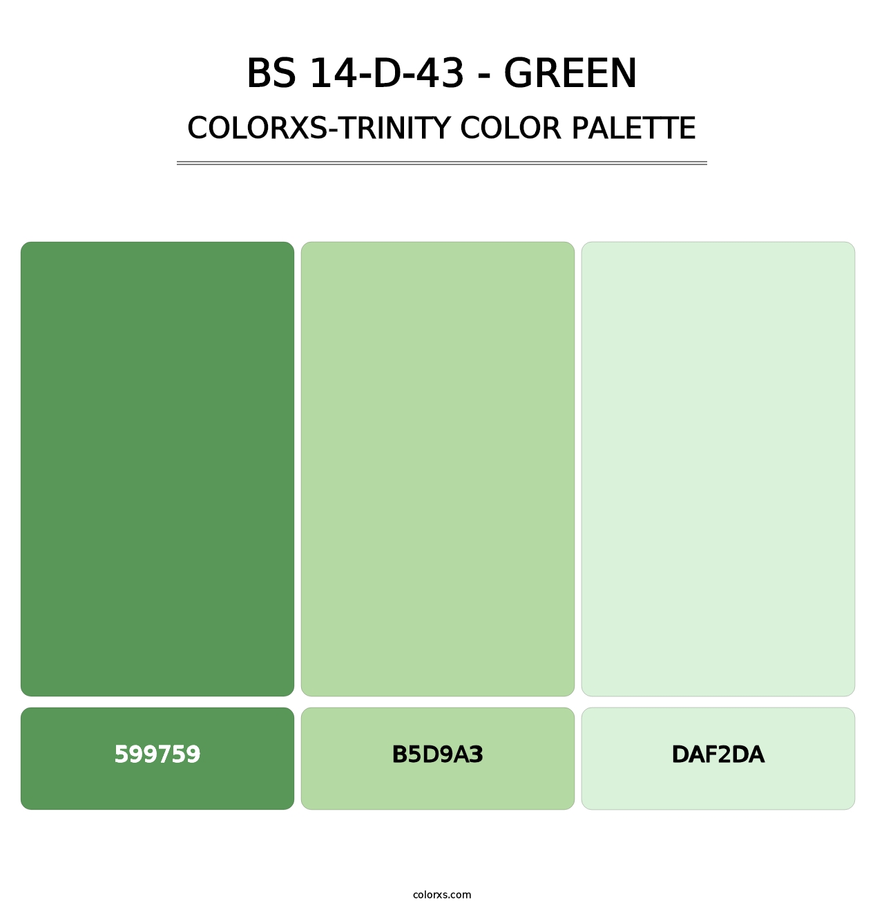 BS 14-D-43 - Green - Colorxs Trinity Palette
