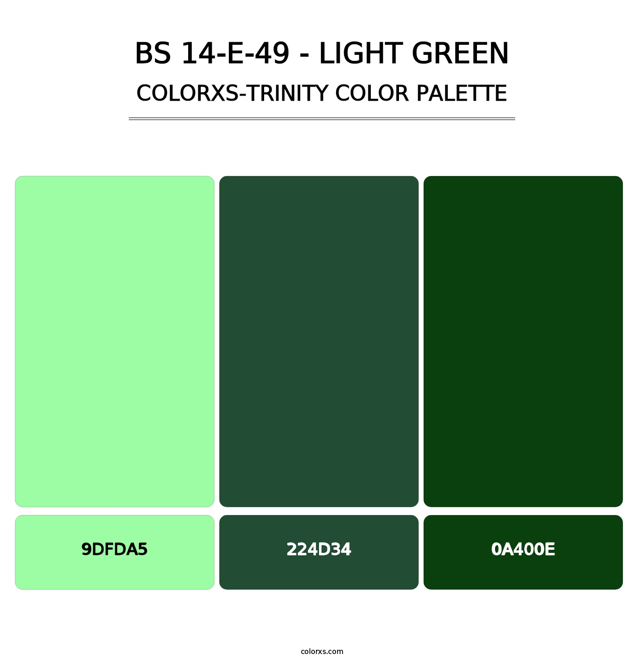 BS 14-E-49 - Light Green - Colorxs Trinity Palette