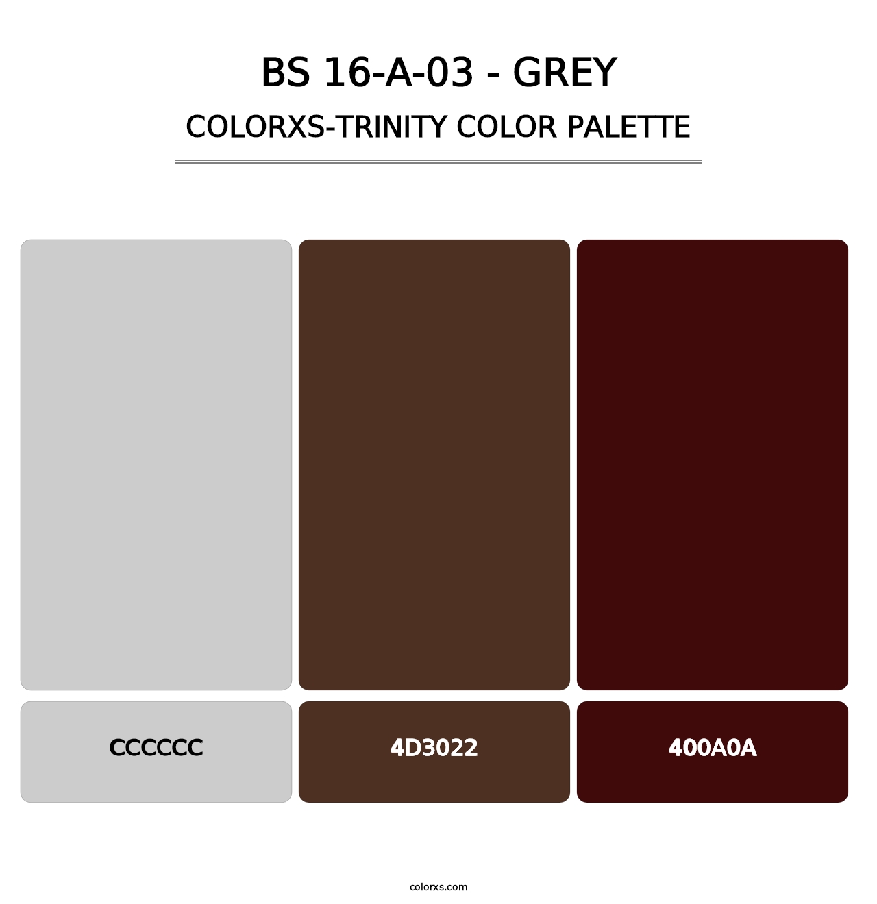 BS 16-A-03 - Grey - Colorxs Trinity Palette