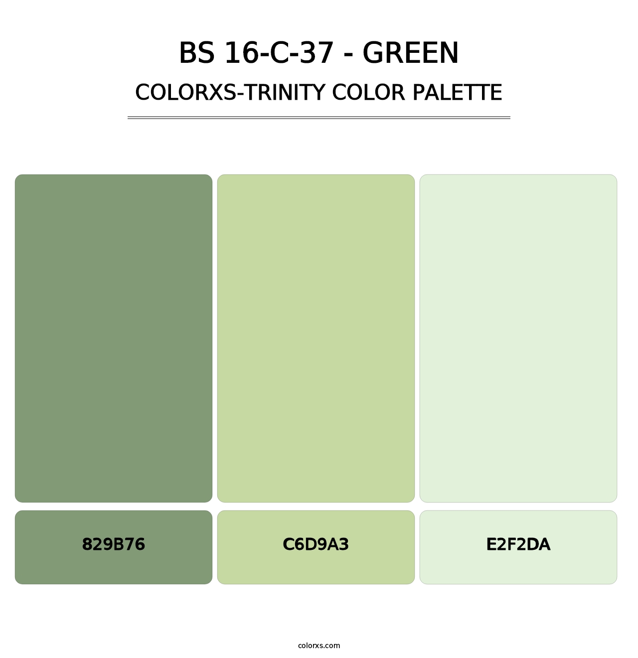 BS 16-C-37 - Green - Colorxs Trinity Palette