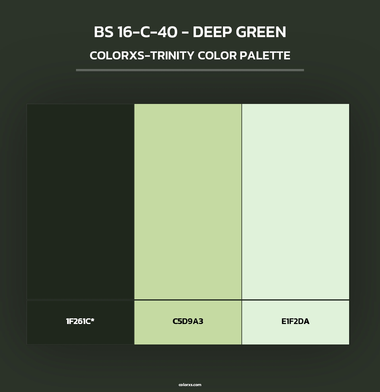 BS 16-C-40 - Deep Green - Colorxs Trinity Palette