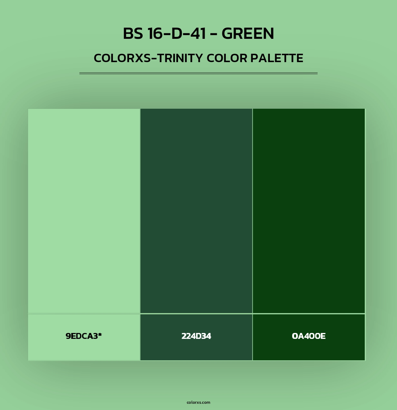 BS 16-D-41 - Green - Colorxs Trinity Palette