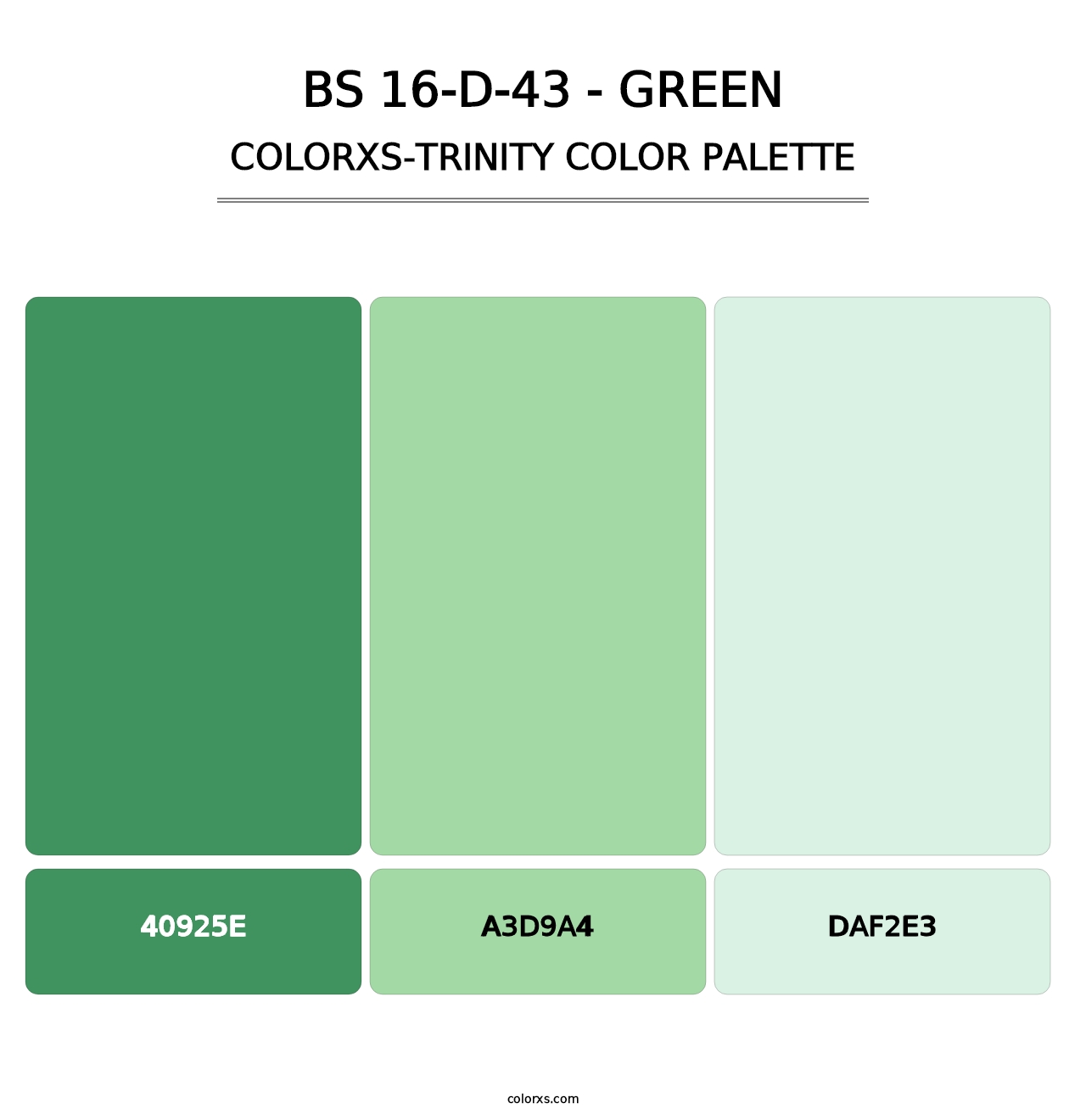 BS 16-D-43 - Green - Colorxs Trinity Palette