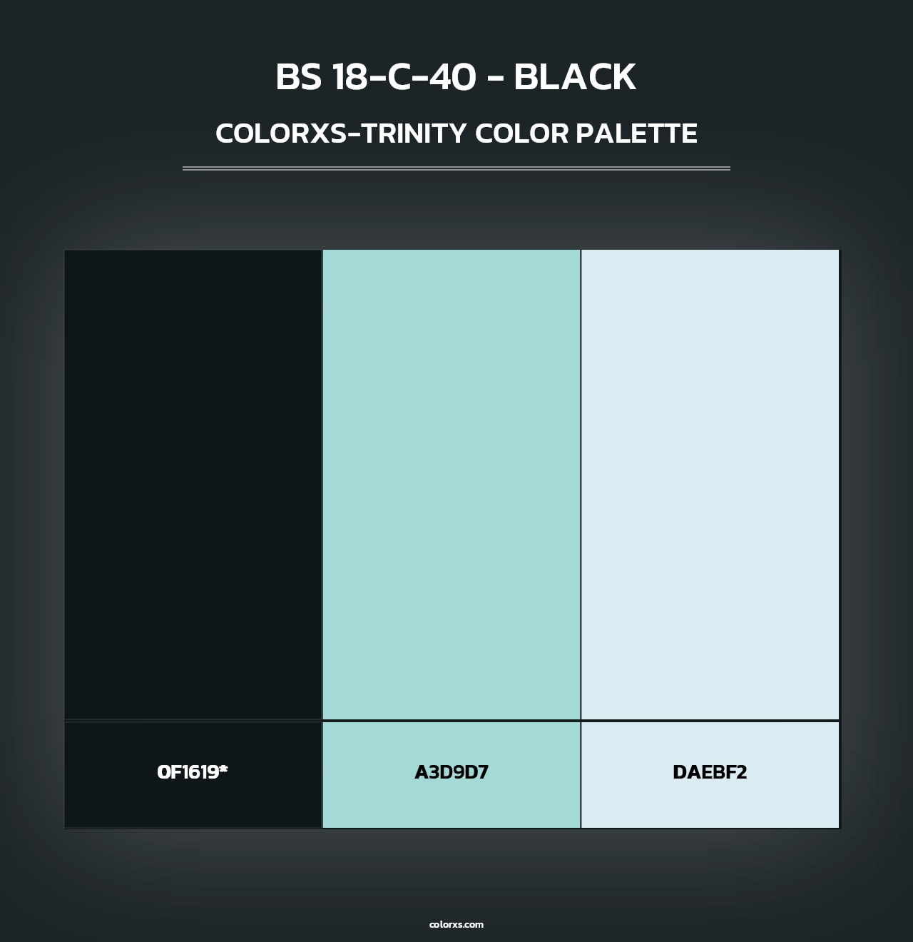 BS 18-C-40 - Black - Colorxs Trinity Palette