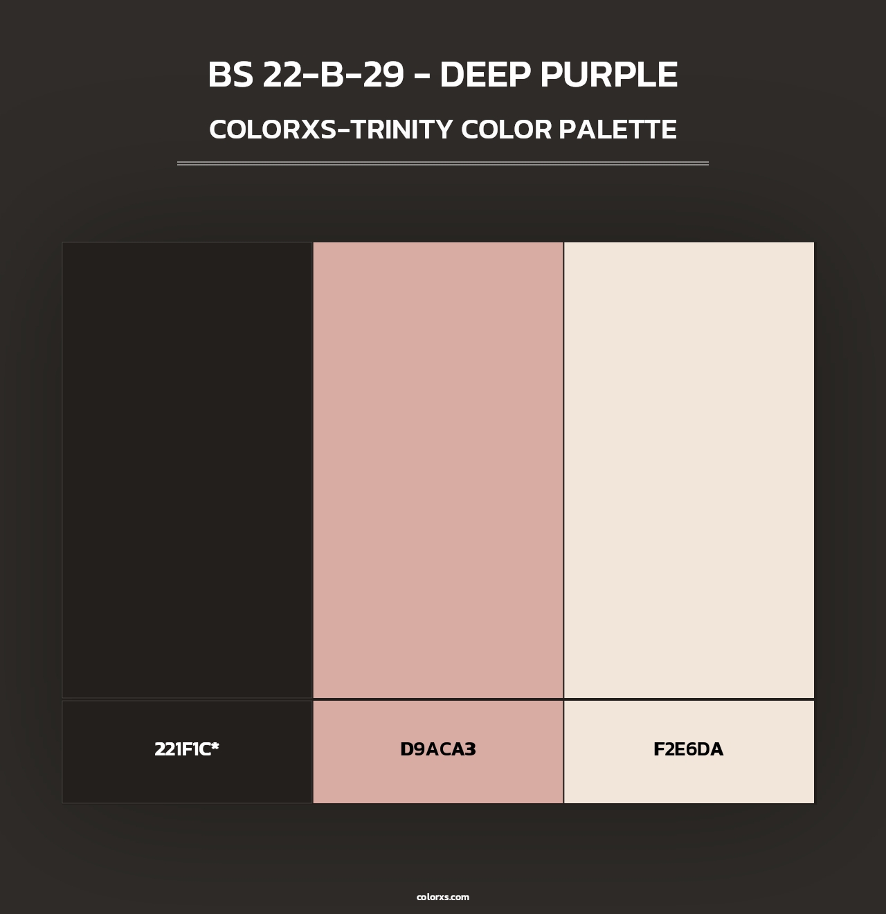 BS 22-B-29 - Deep Purple - Colorxs Trinity Palette